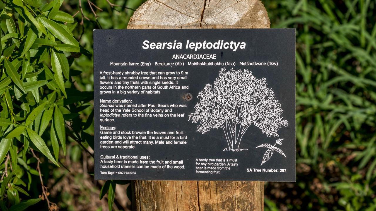 Iketla Lodge Ohrigstad Zewnętrze zdjęcie